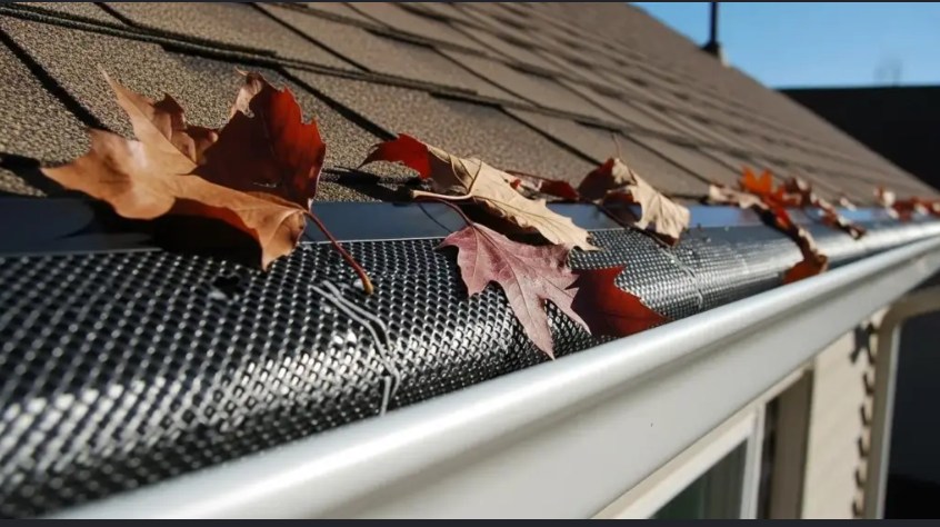 Autumn leaves resting on a mesh gutter guard